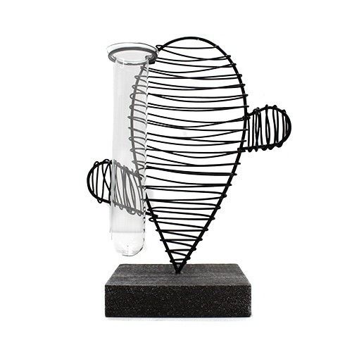 Hydroponic Home Décor – Cactus & Lab Pot
