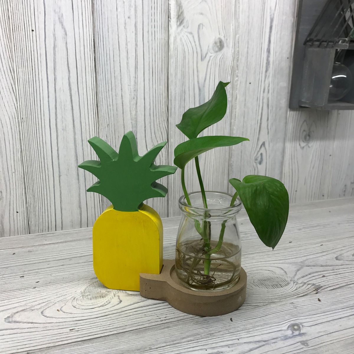 Hydroponic Home Décor – Pineapple Pot