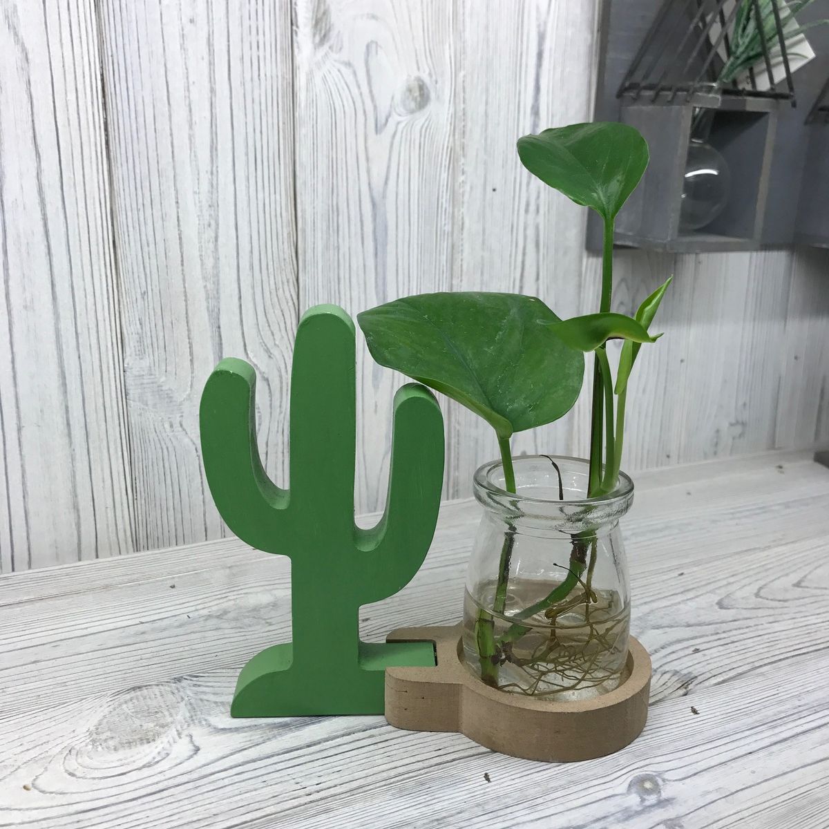 Hydroponic Home Décor – Cactus Pot