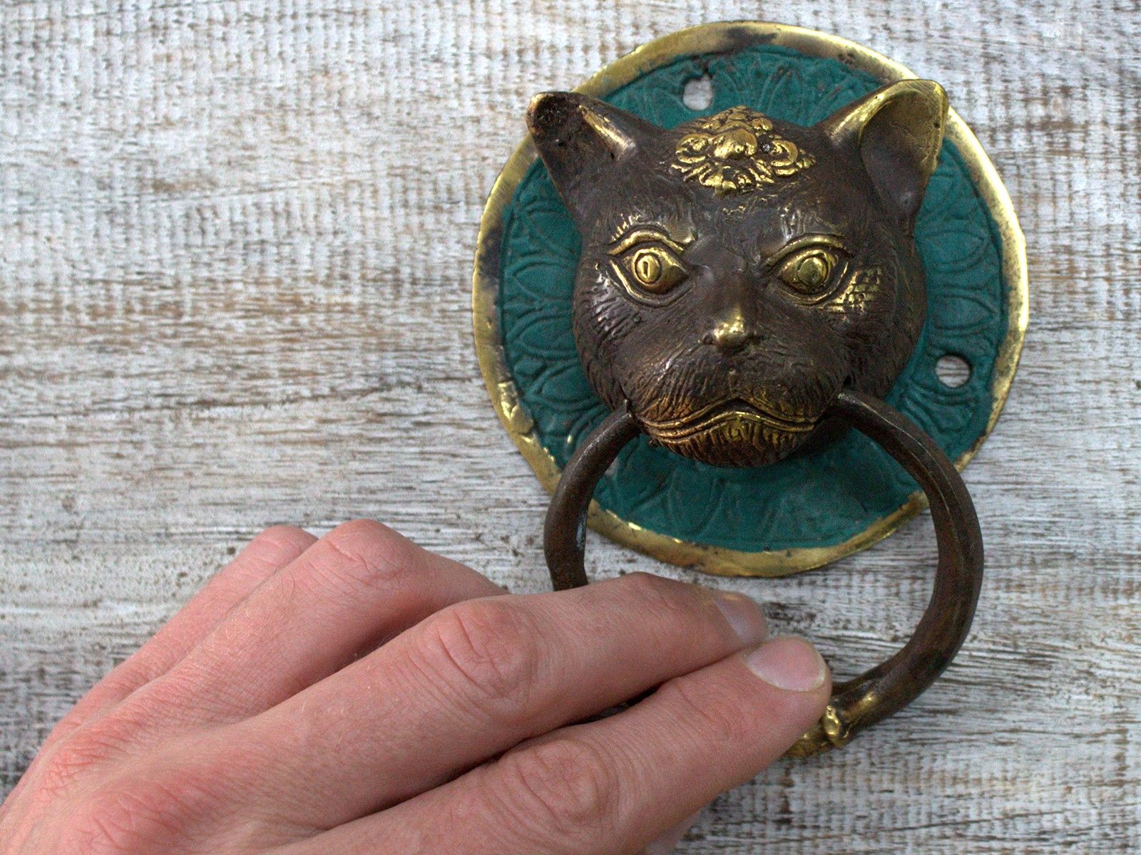 Brass Door Knocker – Tiger's Head