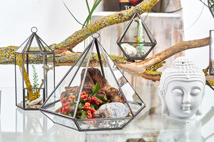Geometric Glass Terrarium – Small Diamond