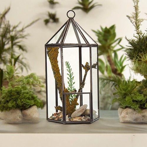 Lantern Shaped Glass Terrarium