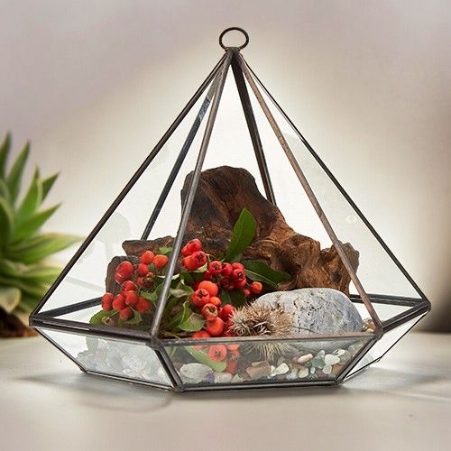 Geometric Glass Terrarium – Large Diamond