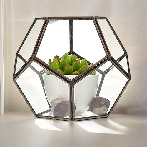 Geometric Glass Terrarium – Large Octagon