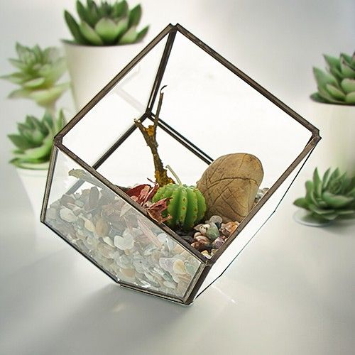 Geometric Glass Terrarium – Cube on Corner