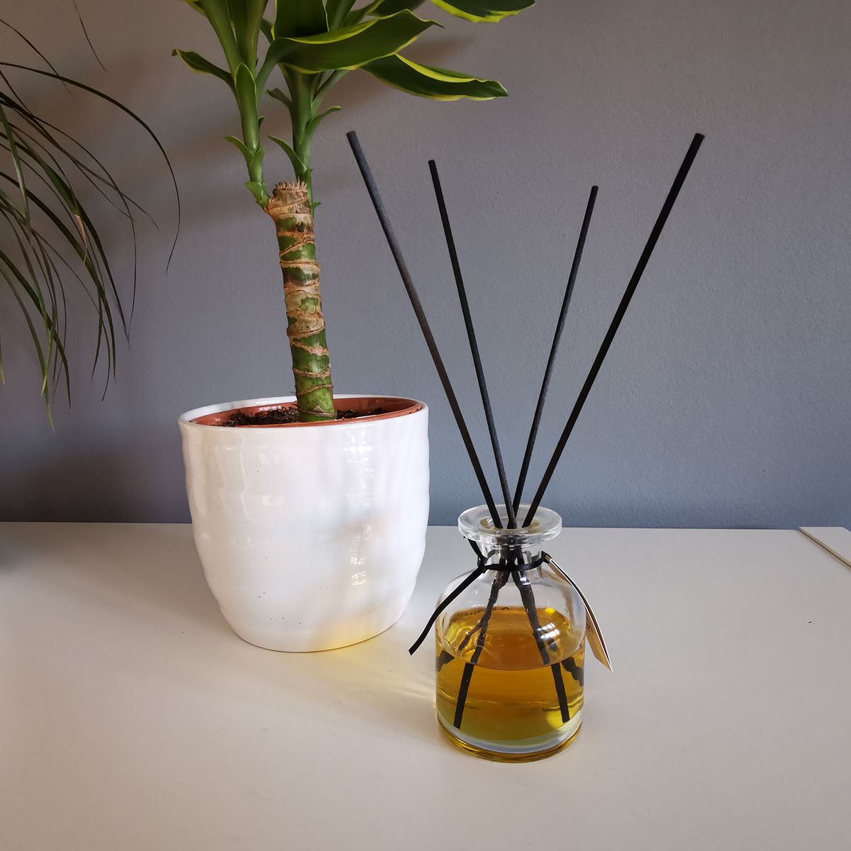Black Fibre Diffuser Reeds – 25cm x 3mm
