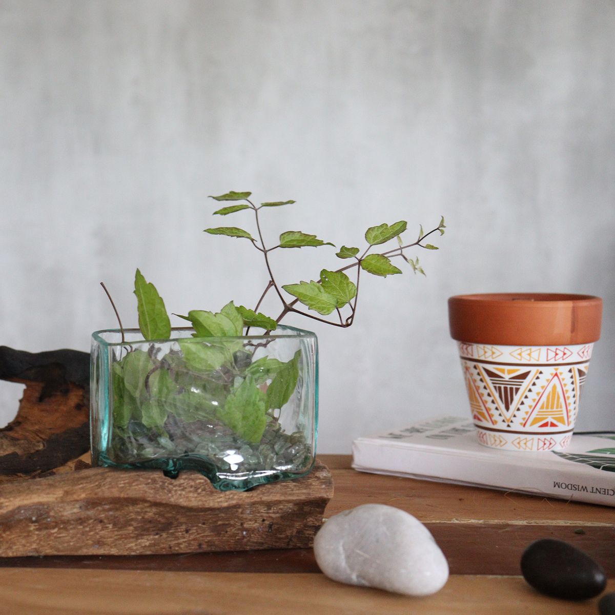Molten Glass Tank on Wood with Stand – Medium