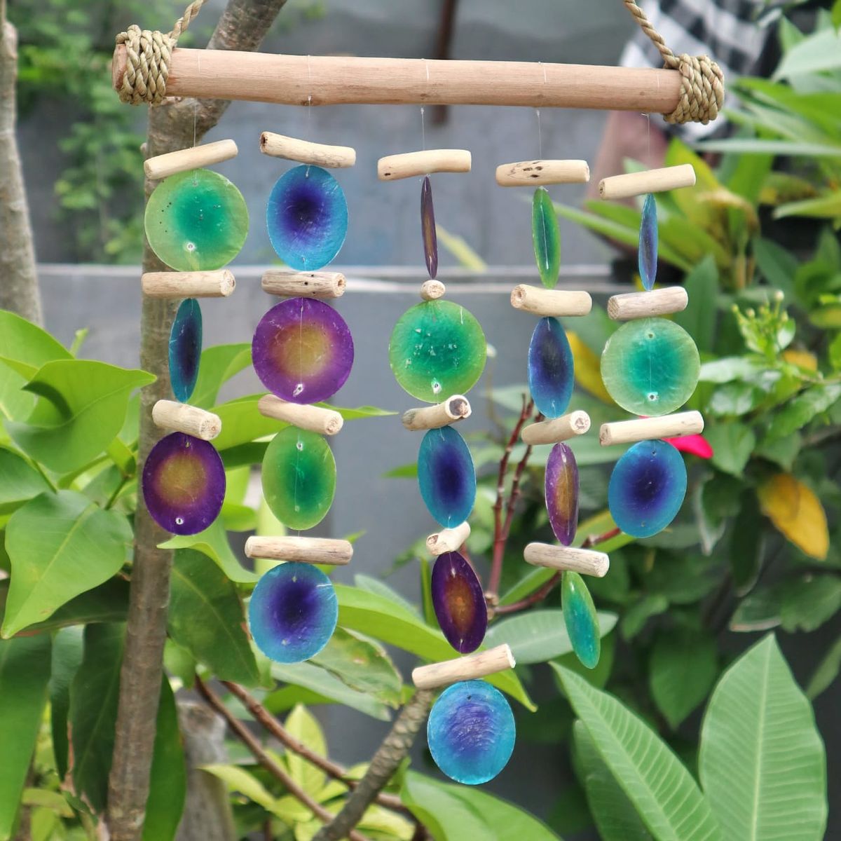 Green & Purple Driftwood Capiz Wind Chime