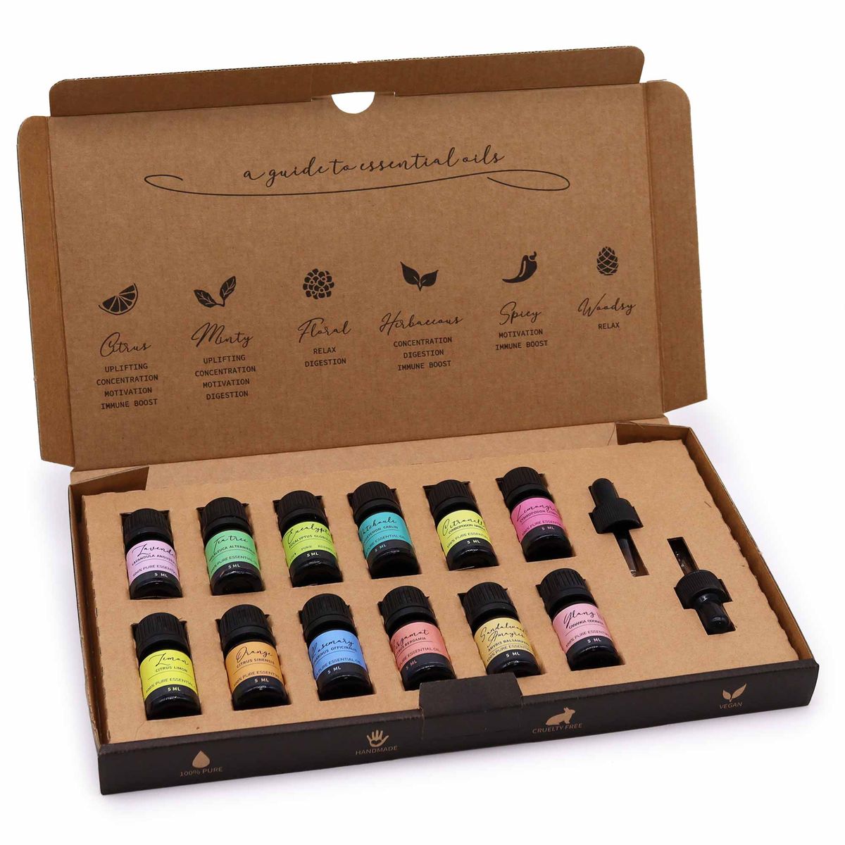 Aromatherapy Essential Oil Set – The Top 12