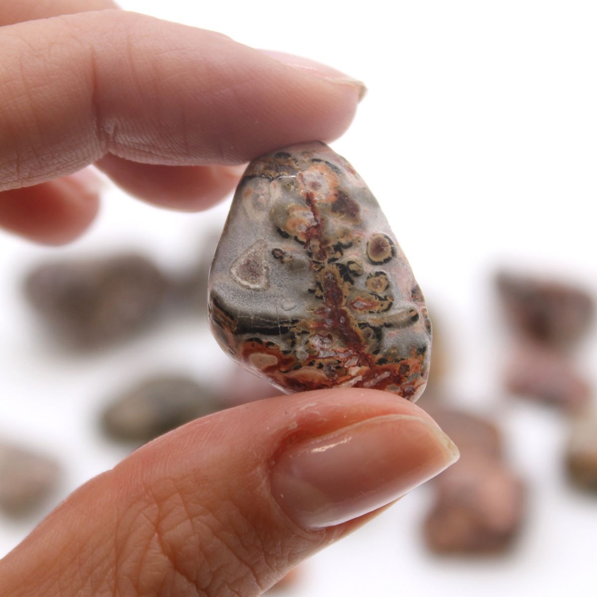 Leopard Skin Jasper Tumble Stone – Medium