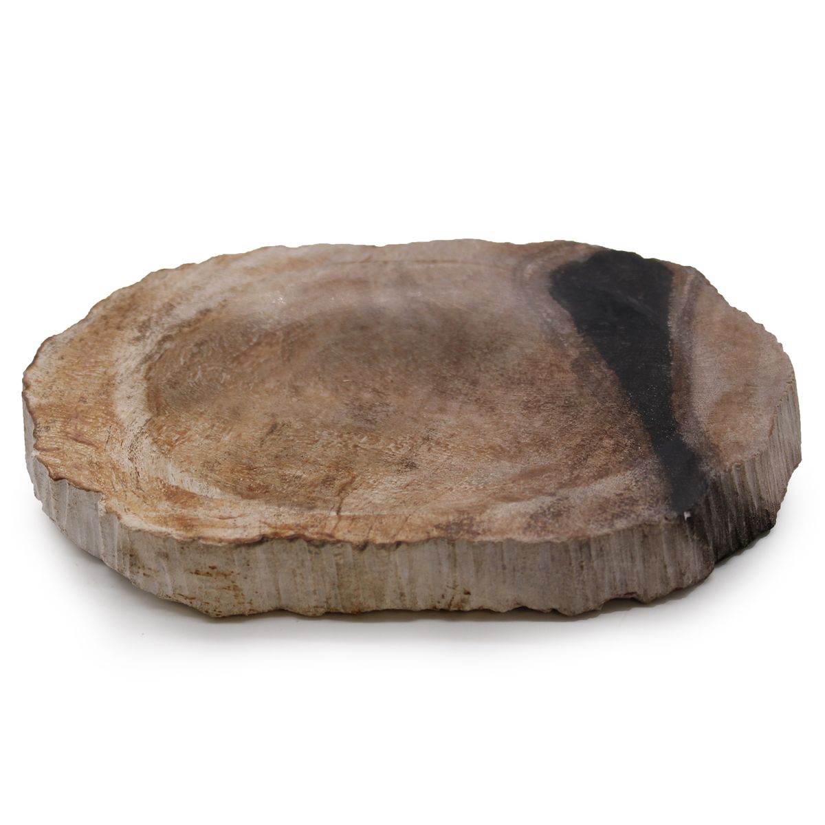 Petrified Wood Soap Dish – Brown & Black