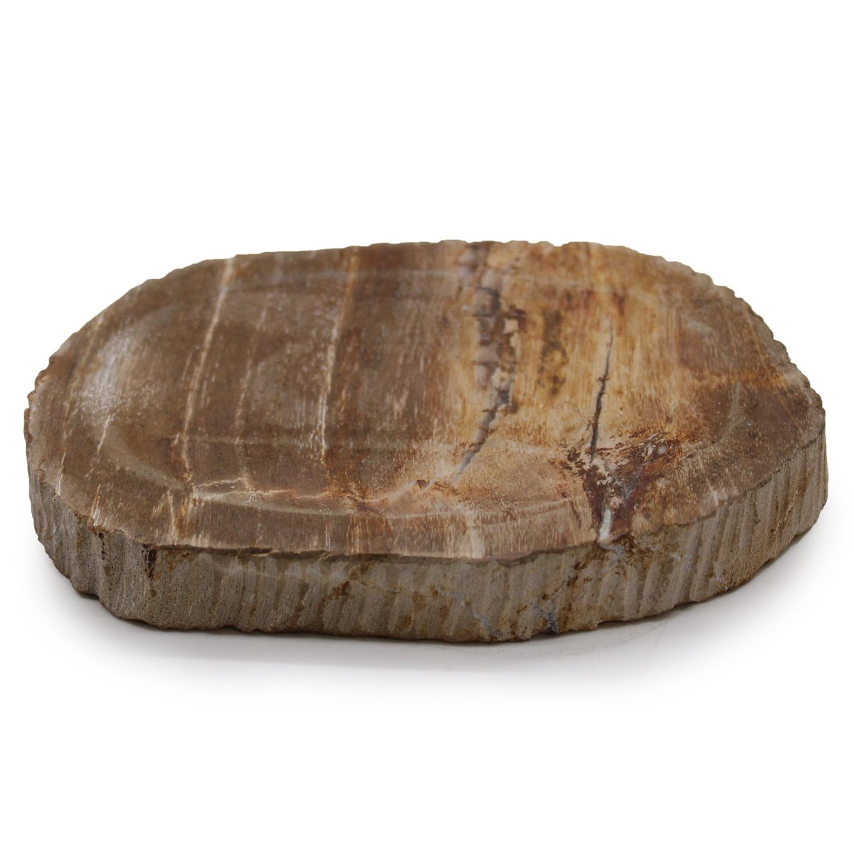 Petrified Wood Soap Dish – Brown