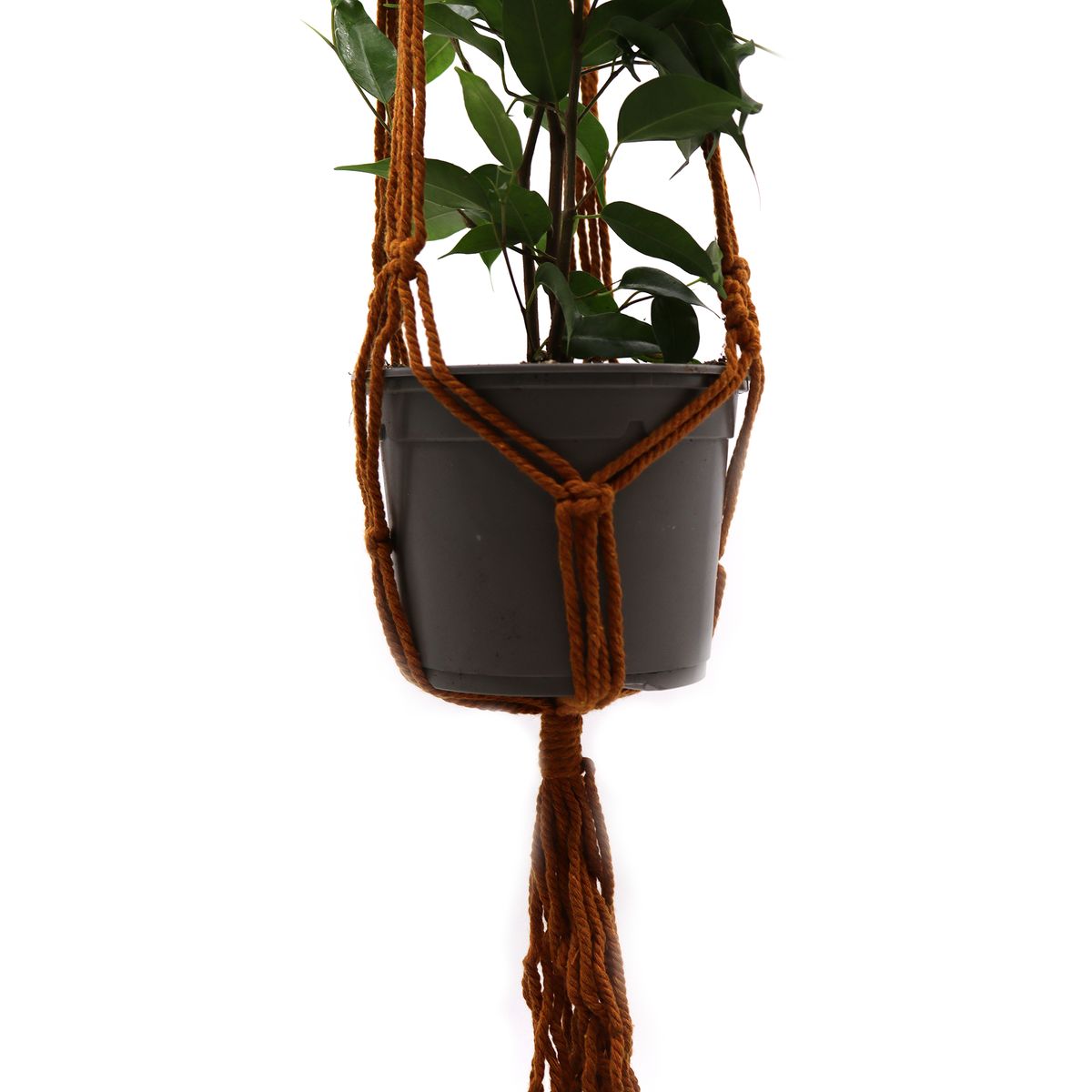 Classic Macrame Plant Hanger – Chocolate, Medium Pot