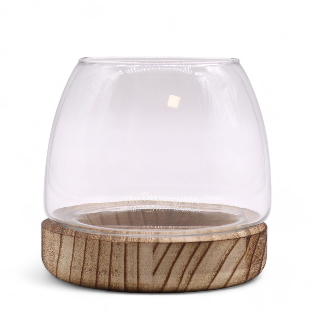 Glass Terrarium on Natural Tung Wood – Small