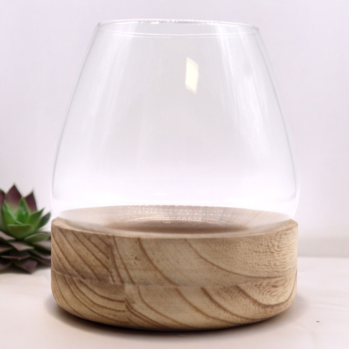 Glass Terrarium on Natural Tung Wood – Large
