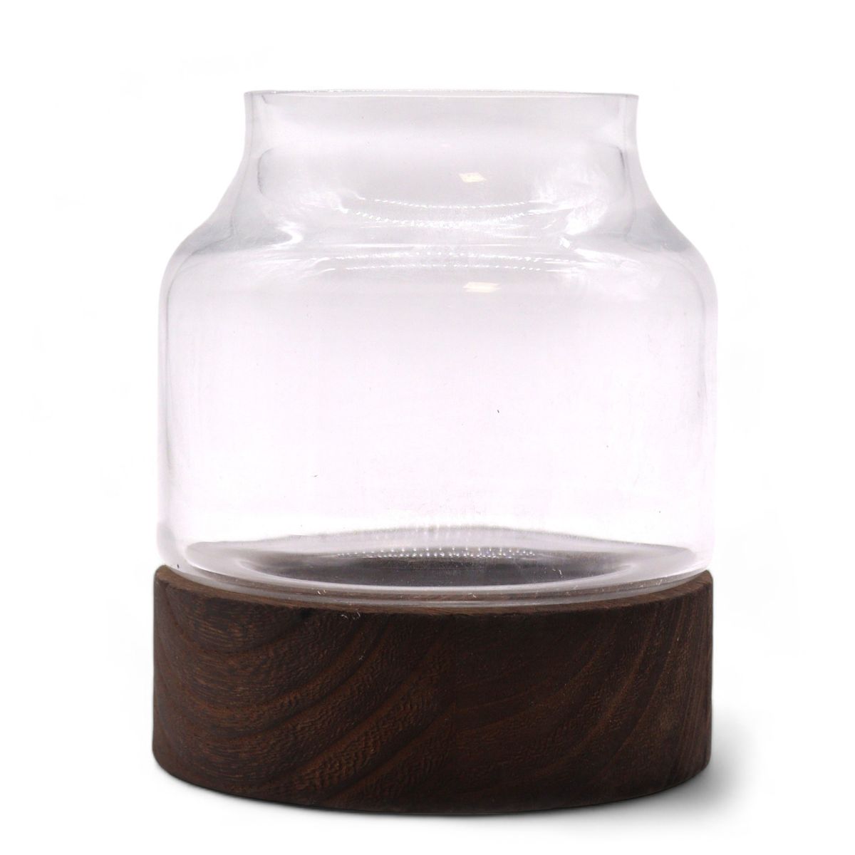 Shaped Glass Terrarium on Dark Tung Wood – Small
