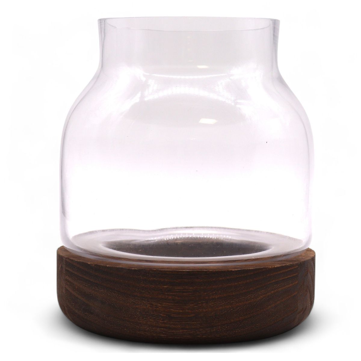 Shaped Glass Terrarium on Dark Tung Wood – Medium
