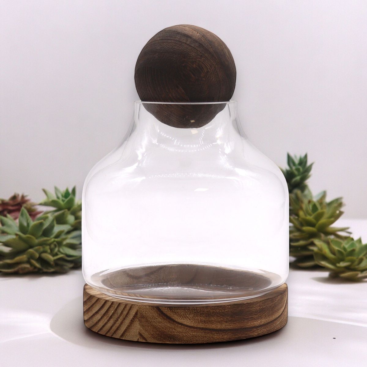 Ball Top Glass Terrarium on Dark Tung Wood – Medium