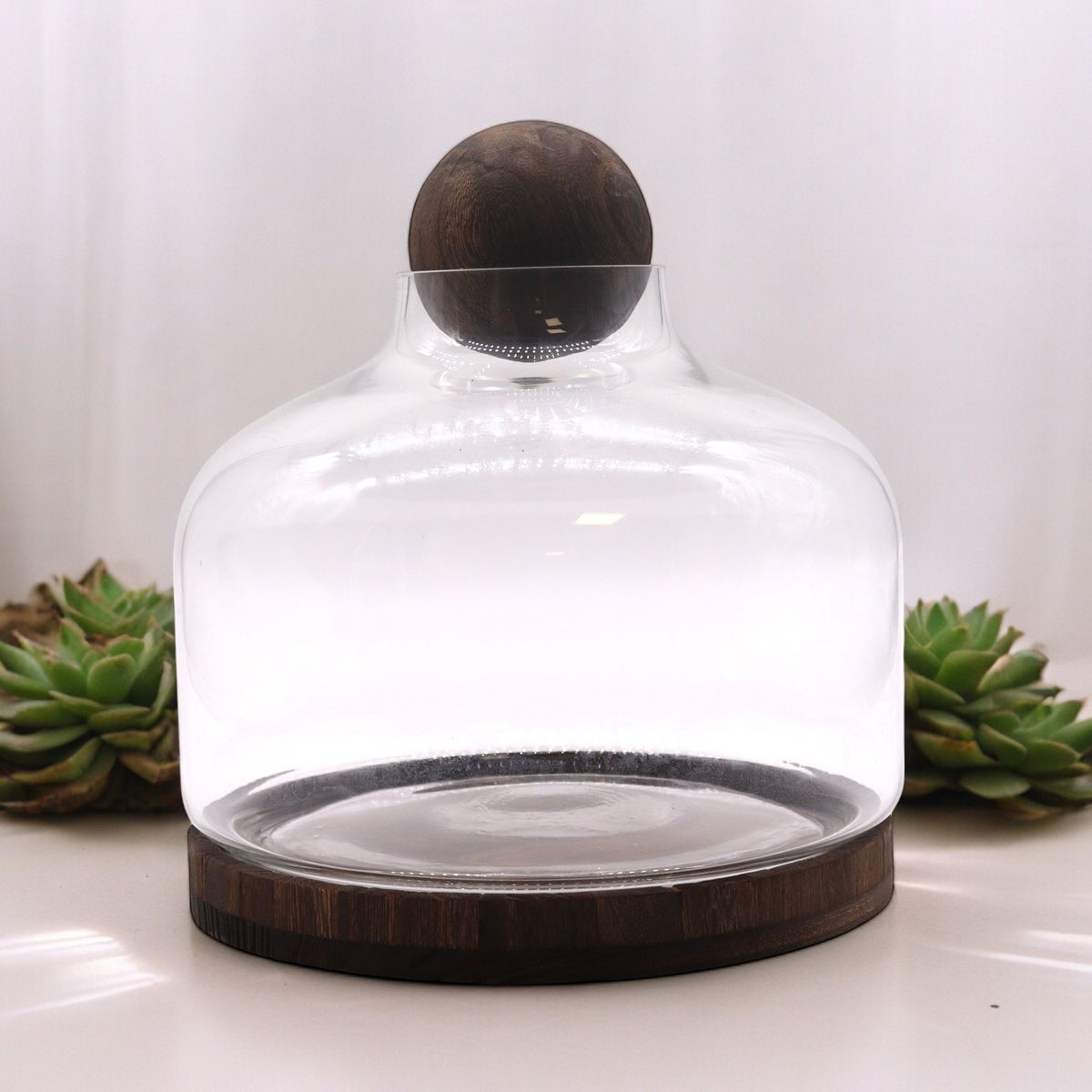 Ball Top Glass Terrarium on Dark Tung Wood – Extra Large