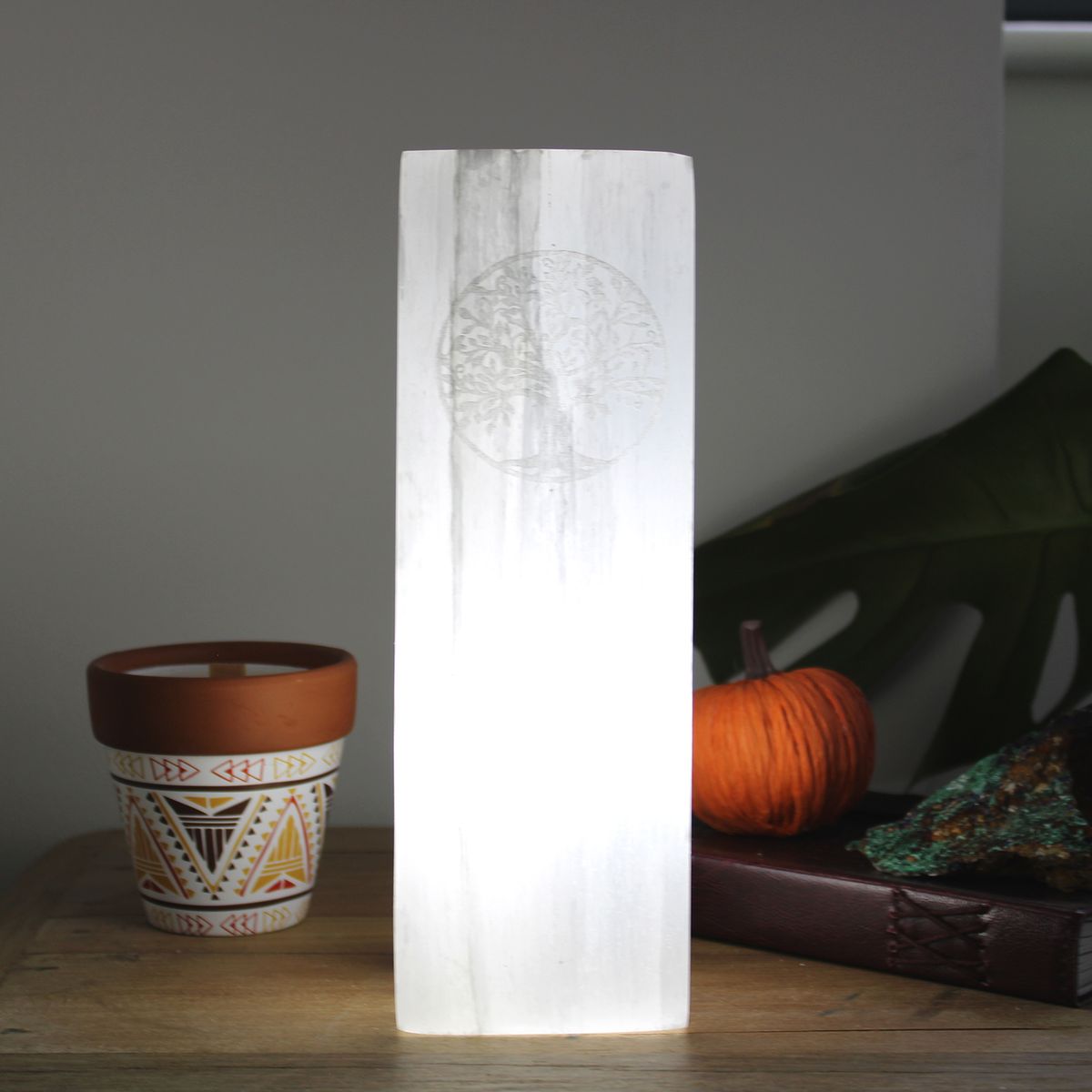 Selenite Block Lamp – Tree of Life, 25cm