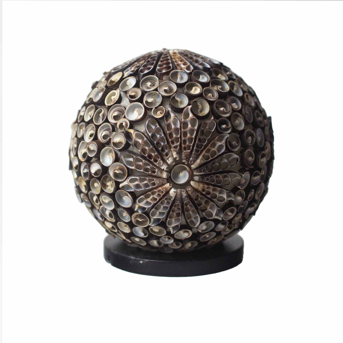 Boho Sea Shell Lamp – Chocolate Twist Globe, 15cm