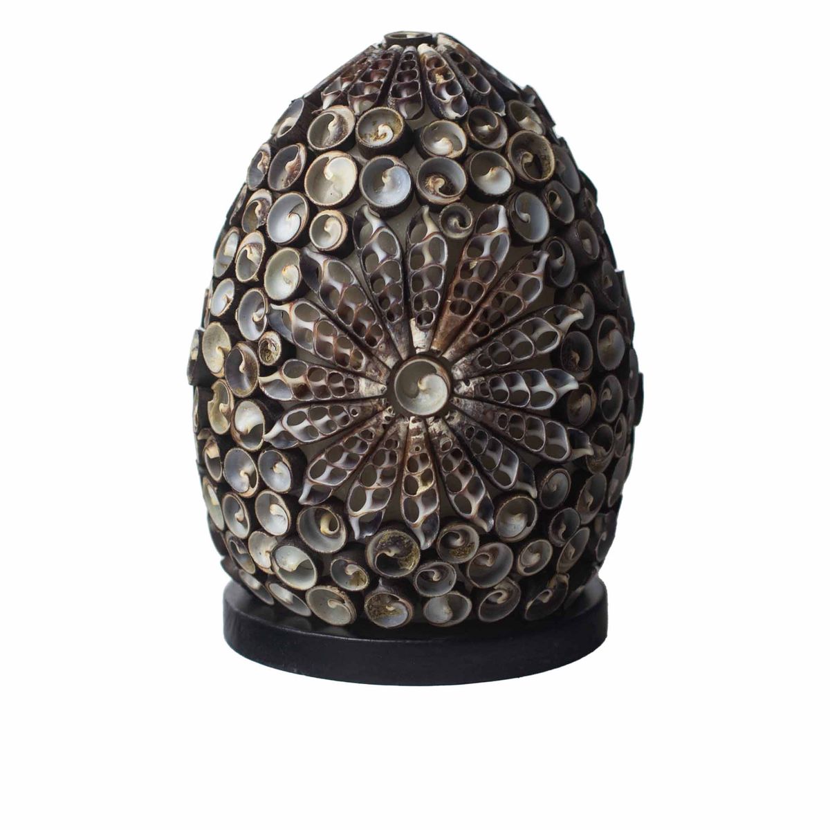 Boho Sea Shell Lamp – Chocolate Twist Oval, 15cm
