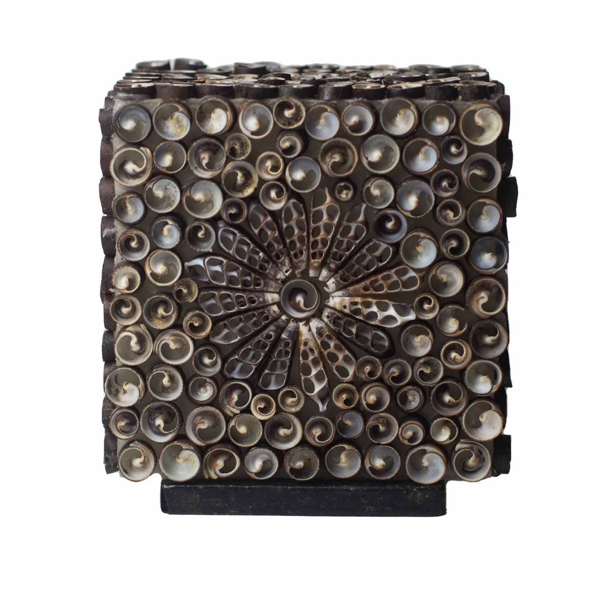 Boho Sea Shell Lamp – Chocolate Twist Square, 15cm