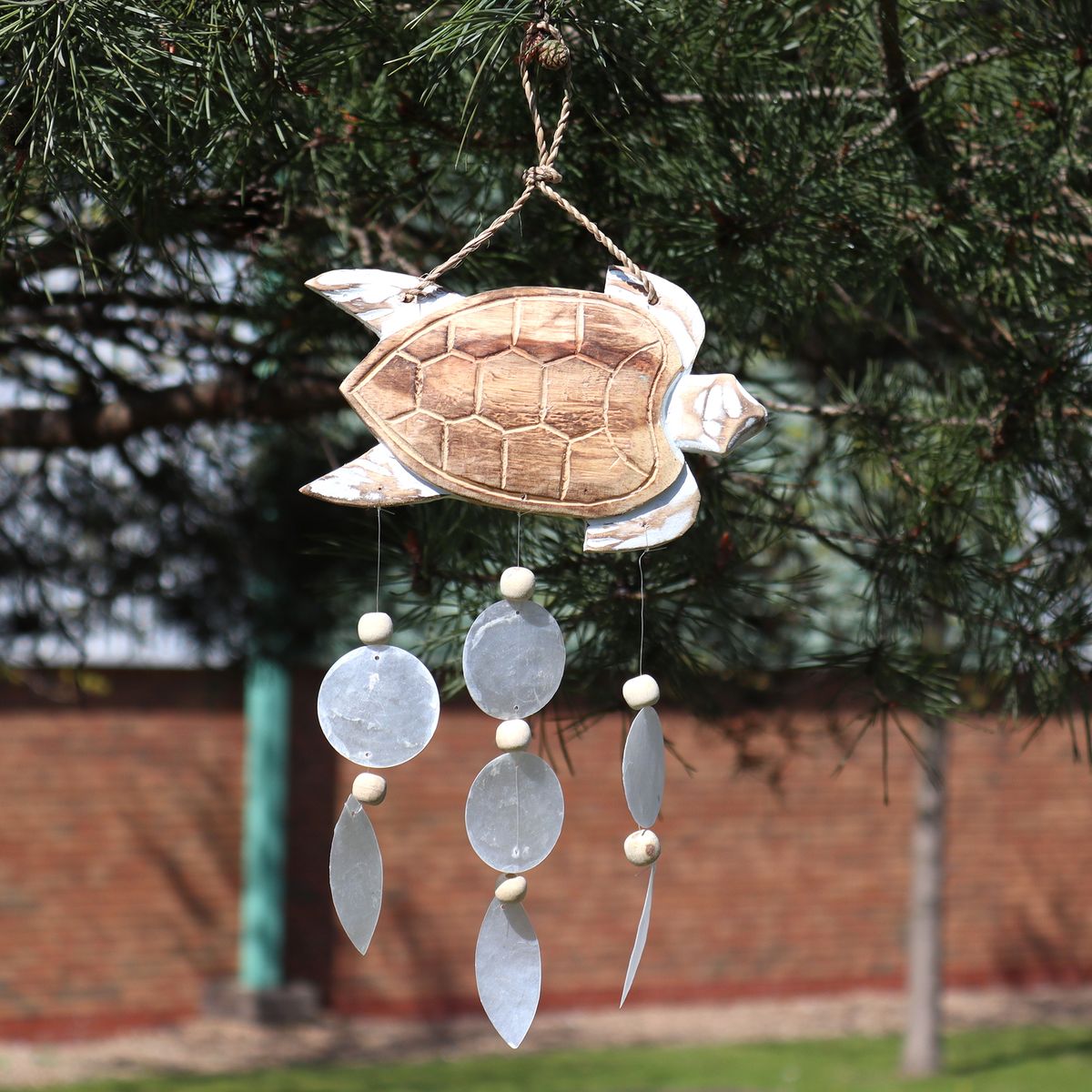 Whitewash Turtle Carving with Natural Copis Drop