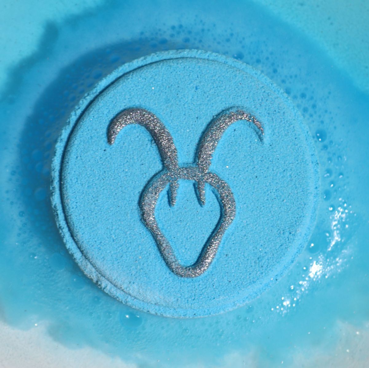 Zodiac Bath Fizzers with Horoscope – Capricorn