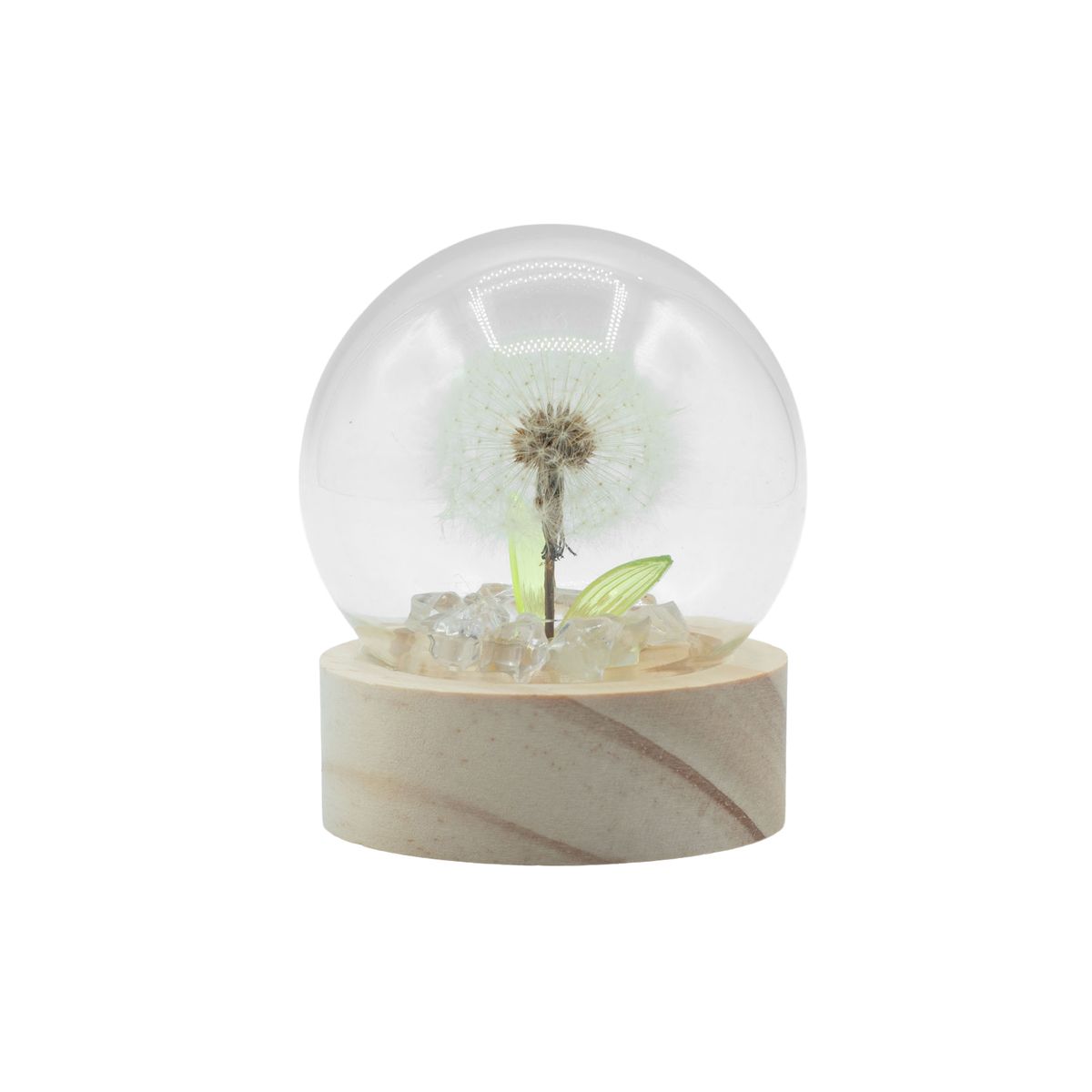 Floral Glow LED Garden Dome – 1 Dandelion, Battery