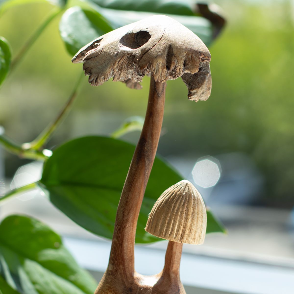 Parasite Wood Carving – Mushrooms, Set of 2