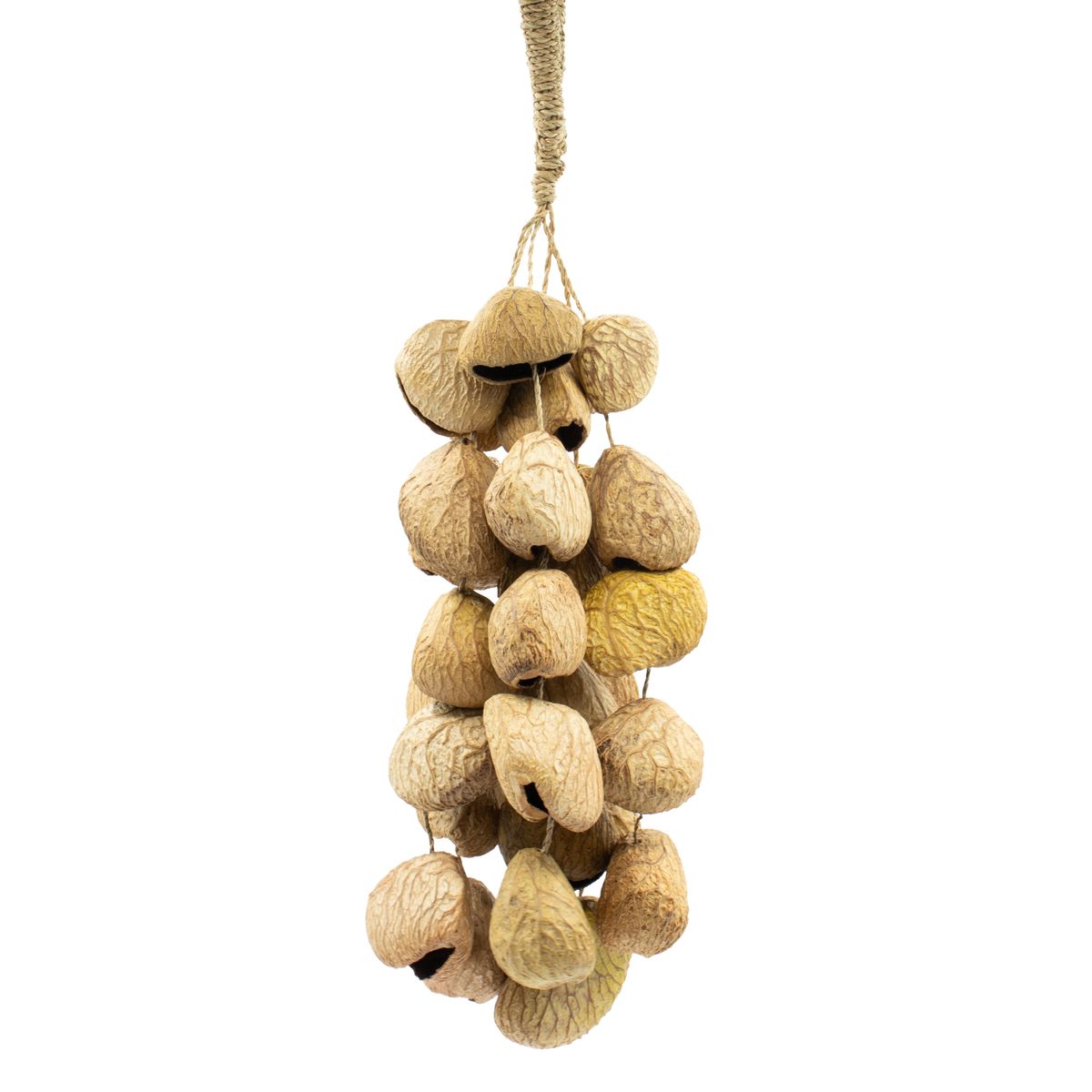 Pangi Seed Shell Nut Shaker – Medium, 30 Shells