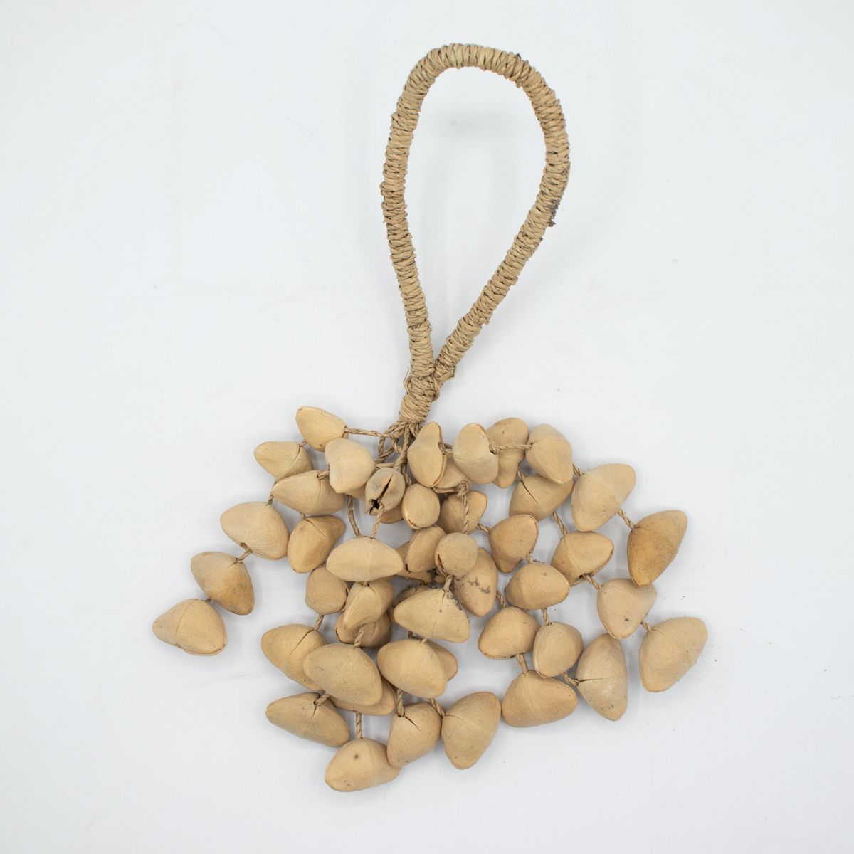 Kenari Shell Long Rattle – 50 Shells