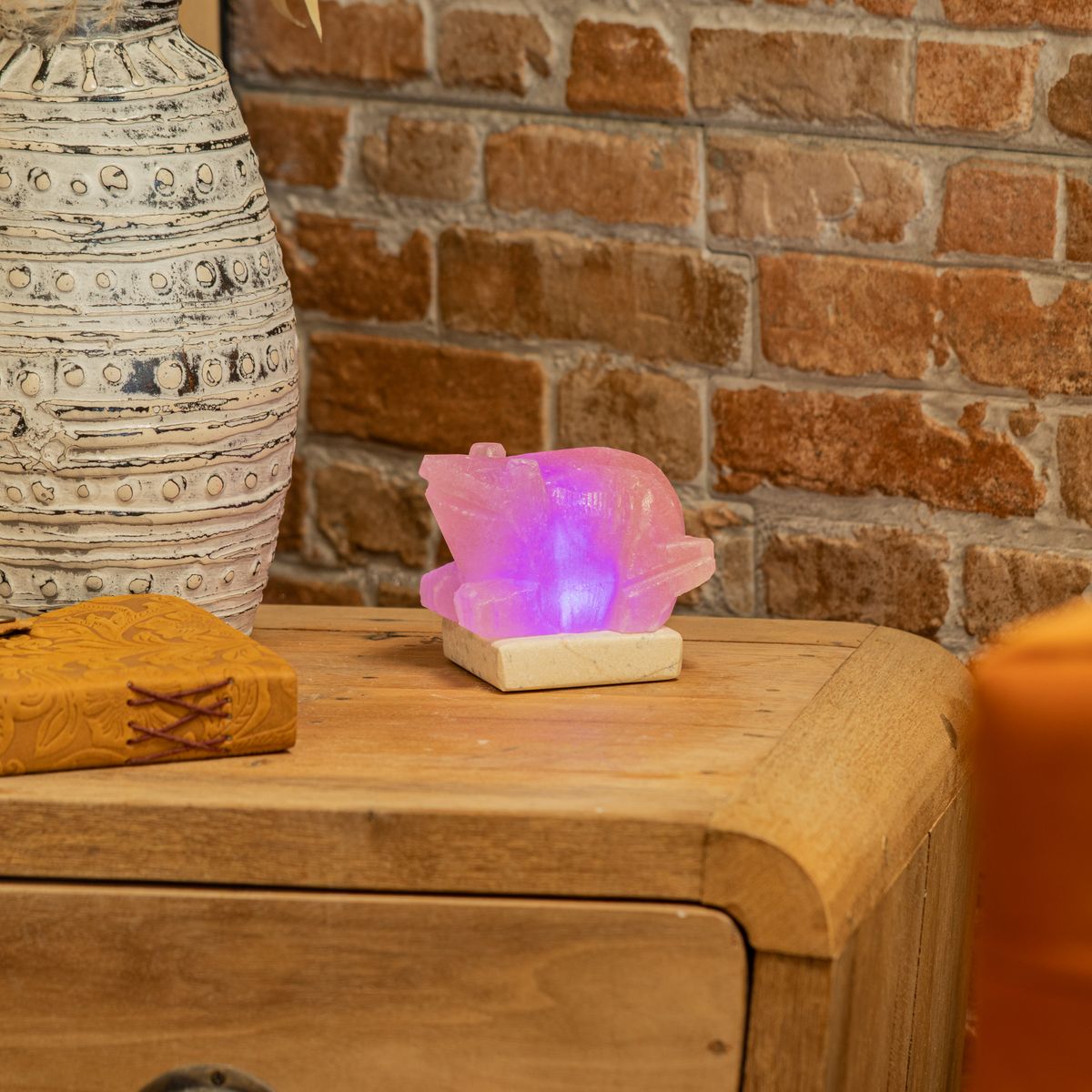 Himalayan Salt USB Lamp – Toad Shape, Multicolour