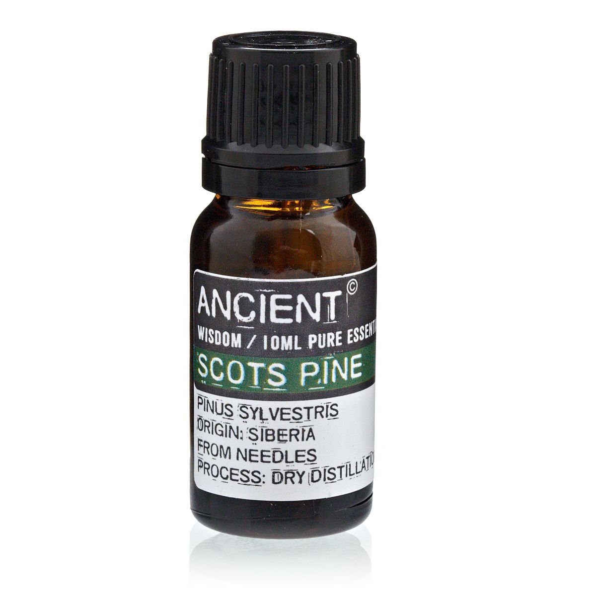 Scots Pine Essential Oil – 10ml