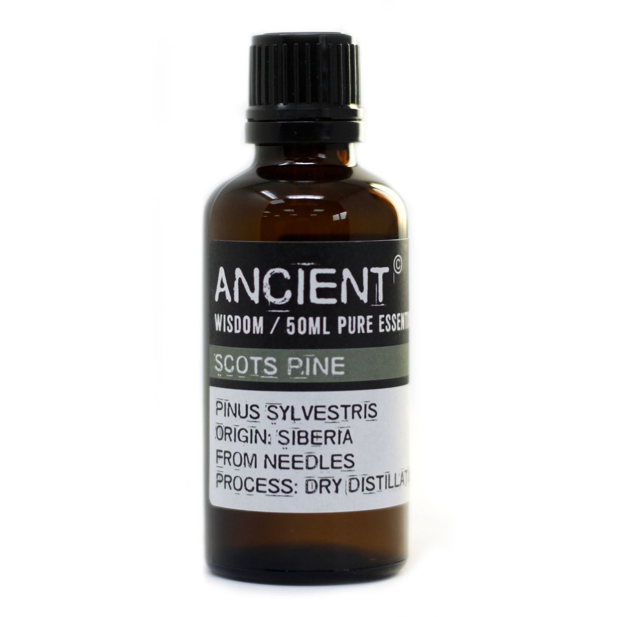 Scots Pine Essential Oil – 50ml