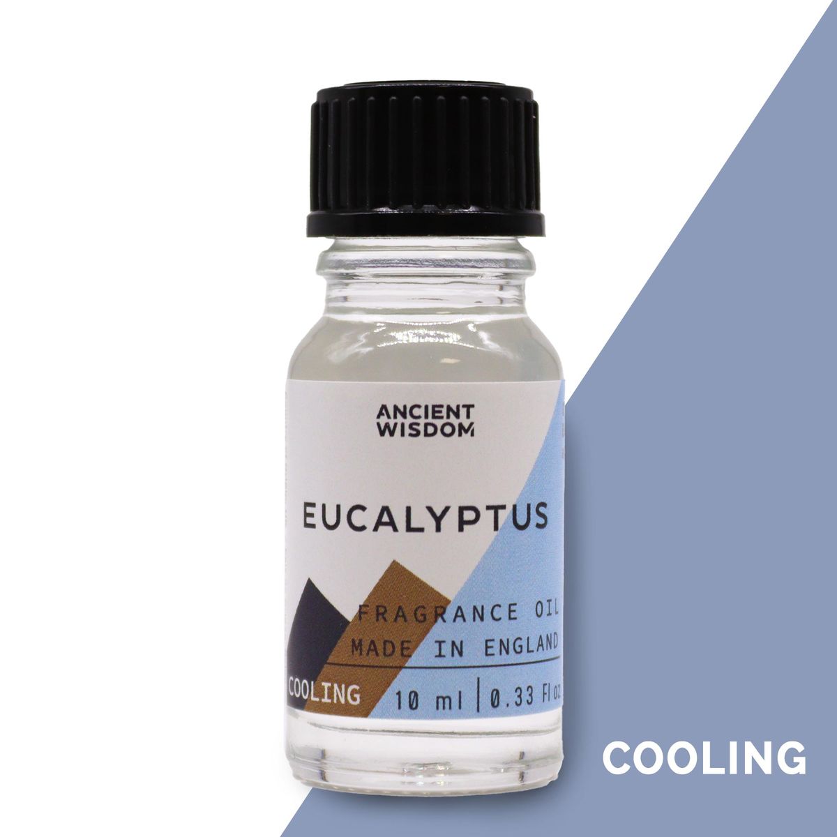 Eucalyptus Fragrance Oil – 10ml