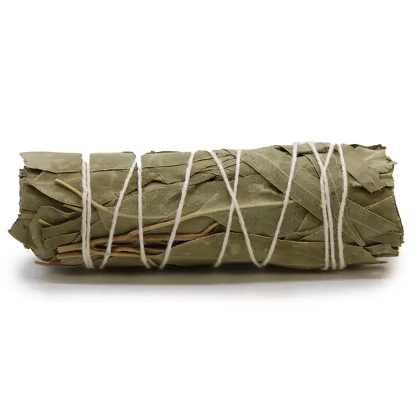 Smudge Stick – White Sage & Eucalyptus, 10cm